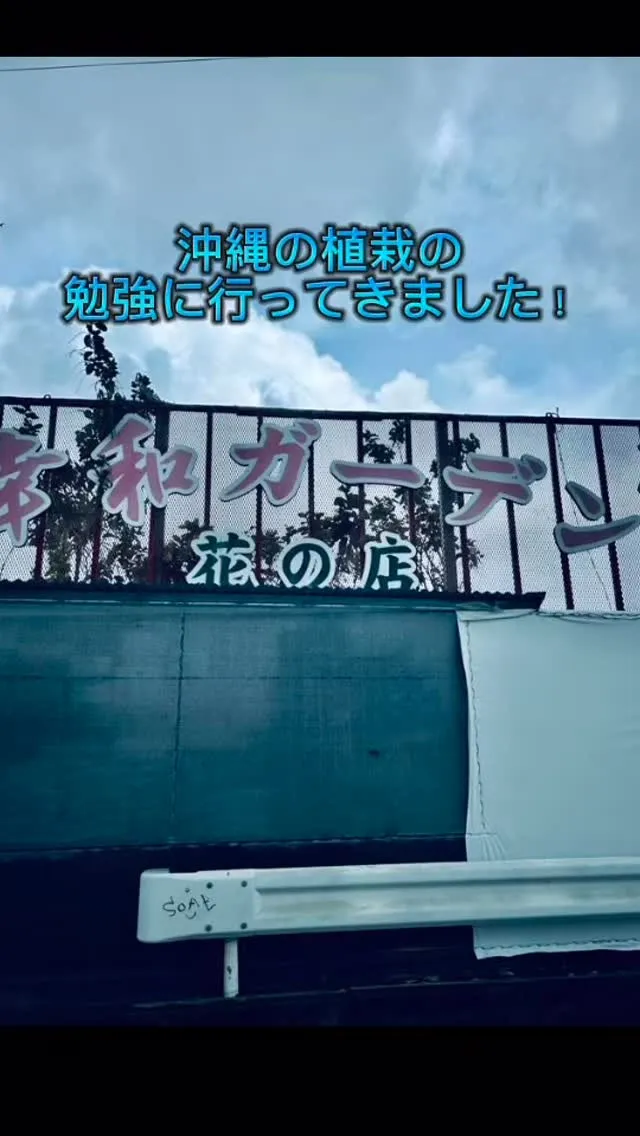 こんにちは！　
